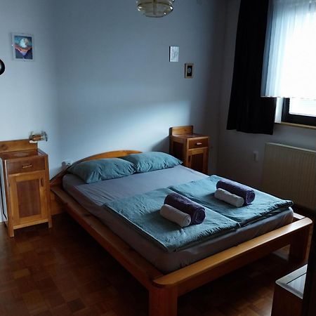 Apartment Katrin Zirovnica Екстериор снимка