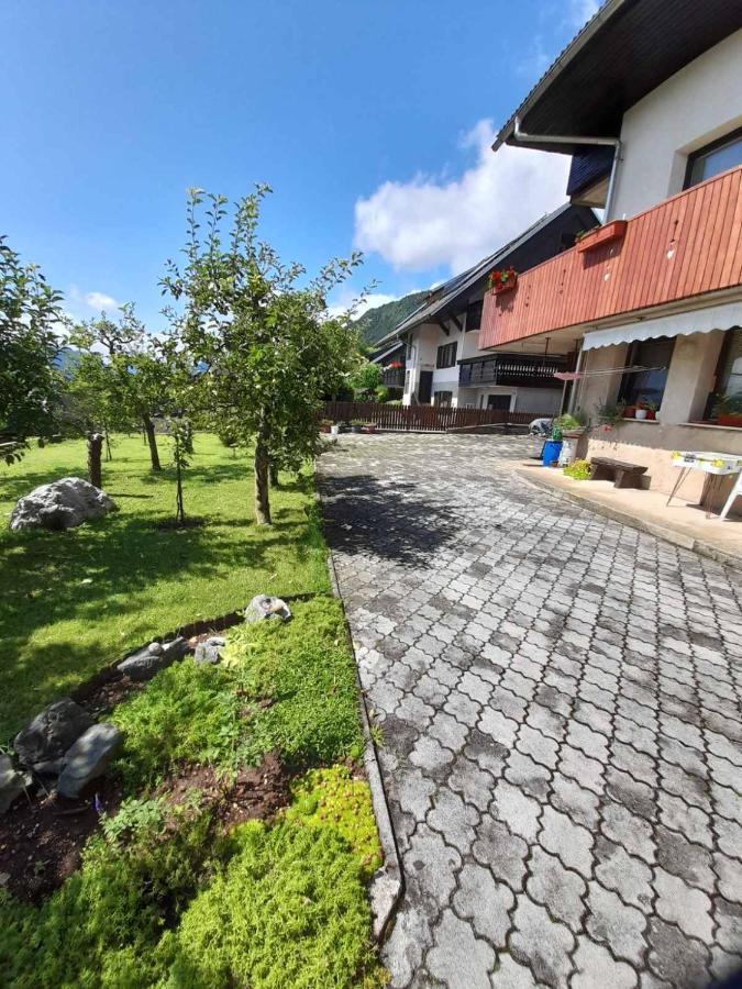 Apartment Katrin Zirovnica Екстериор снимка